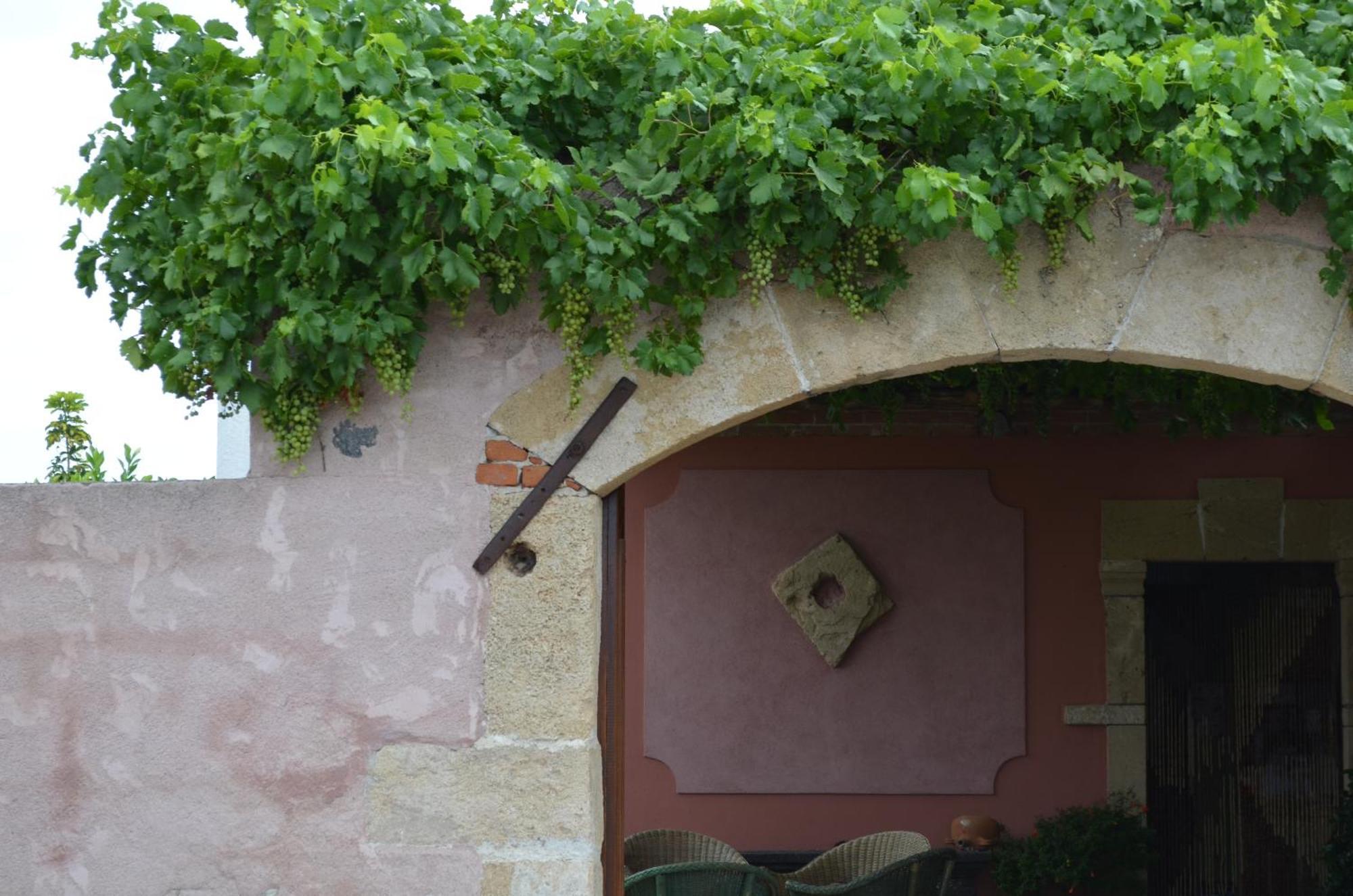 Agriturismo Il Melograno 리올라사르도 외부 사진